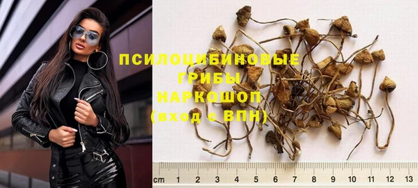 стаф Заводоуковск