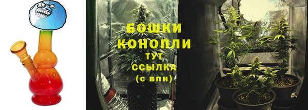 ГАЛЛЮЦИНОГЕННЫЕ ГРИБЫ Зерноград